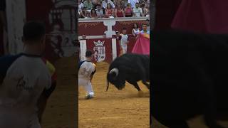 QUIEBRO DE RODILLAS EN TORREJON #toros #torospopulares #concurso #shrots