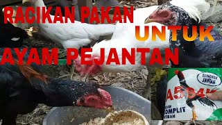 RACIKAN PAKAN UNTUK AYAM BANGKOK JANTAN