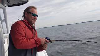 How to use a Garmin FishFinder to Double Hook Up on Striped Bass