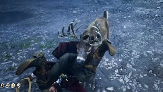 Red Dead Redemption 2 | This happens if you Lasso a Deer | Max Graphics (2K Quality)