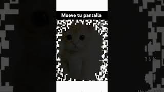 Tienes un mensaje #memes #gato  #humor