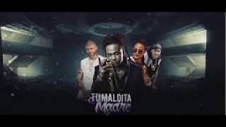 Shelow Shaq   Tu Maldita Madre Remix Ft  Farruko- Quimico UltraMega- mozart la para