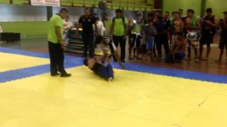 Luizinho Campeão Luta-Livre 2015