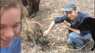 A Stroll With Danny And Jacob | An Australian Adventure #3