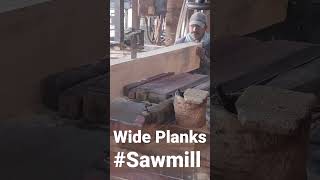 Rare wood cutting process #amazing #cutting #sawmill #trending #india #short #ytshorts #crazy #viral