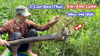 Thăm Lờ Dính RẮN ĐEN ÁM ẢNH Rợn Người Nổi Da Gà. Visit the Black Snake Trap, Haunting and Creepy