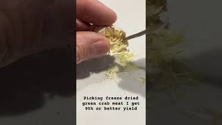 Freeze dried #greencrab meat