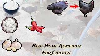 Best Home Remedies For Chicken | From Sick To Healthy Video |Result Of Our Medicines|House Poultry|