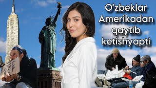 Nimaga o’zbeklar Amerikadan qaytib ketishyapti? | Kinolardagi va real Amerika