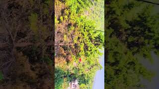 Santura Devi Temple Trek shorts 1 #creativelifesdvlogs #viralshorts #trending #mountains