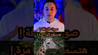 صوت الزرافة! .. هتسمعه لأول مرة😮 #الزرافة #زيادات_بلس #زياد_عبد_المنعم #shortvideo #youtubeshorts