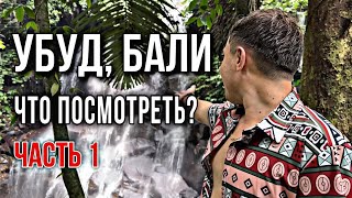 Что посмотреть на Бали, Убуд | Тропа художников | Лес обезьян | Водопад | УБУД | БАЛИ 🇮🇩