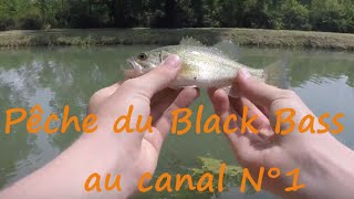 Pêche du Black Bass au canal N° 1 (HD)