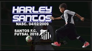 Harley Santos - Santos F.C.