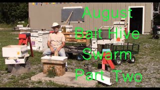 Aug 14 2021 bait hive swarm Part Two