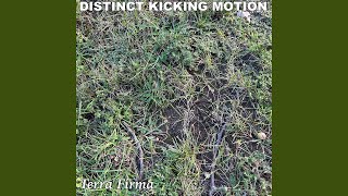 Distinct Kicking Motion - Terra Firma