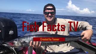 Fish Facts TV Preview and Theme Song