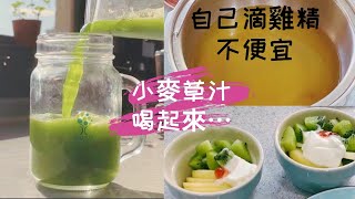 滴雞精做法/小麥草汁/早餐食譜/寵物食物製作(V84)