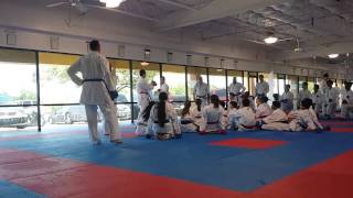 Team USA Karate 2016 Training