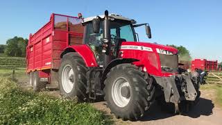 Silage 2020: Massey Ferguson 7726S and Claas Jaguar forager