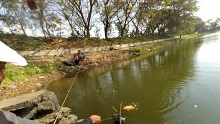 Mancing ikan nila merah di OIB