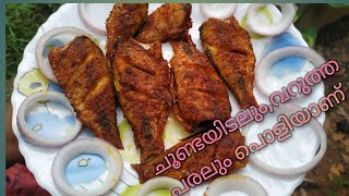 തോട്ടിലേ പരലും നാടൻ ചൂണ്ടയിടലും/Fish Catching and Paral Fish Fry in Malayalam/കിടുക്കാച്ചി പരൽ ഫ്രൈ