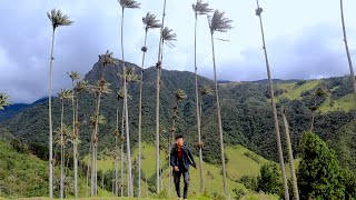 Trek Vallée de COCORA - Colombie & dégustation de CAFÉ