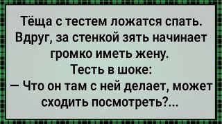 Теща Слушала Как Зять Жену Имеет! Сборник Свежих Анекдотов! Юмор!