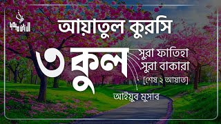 ৩ কুল, আয়াতুল কুরসী, সূরা ফাতিহা, সূরা বাকারা এর শেষ দুই আয়াত | Recited by Recited by Ayub Musab