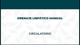 Masaje Circulatorio. Drenaje Linfático Manual - FisioClinics Barcelona, Barna