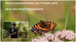 Macro Photography butterflies