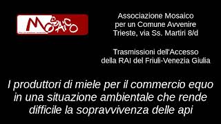 La difficile situazione delle api e alcuni progetti di commercio equo per sostenerle