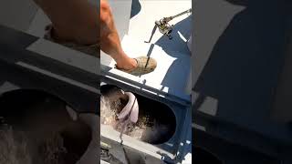 Mississippi River Bottom Fishing #fishing