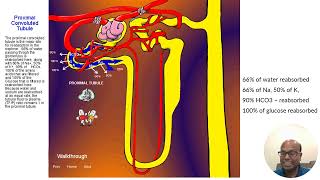 Hyponatremia - What's new