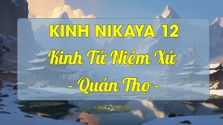 KINH NIKAYA 12 - Kinh Tứ Niệm Xứ - Quán Thọ - TT  Thích Chân Quang