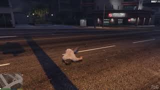 GTA 5 Wasted Compilation #3