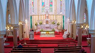 Saturday Morning Mass Saturday of the 3rd week in Ordinary Time (Feb 1st). Rathfarnham, Dublin.