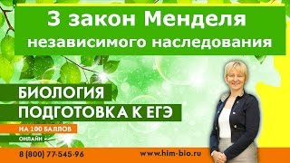 3 закон Менделя. Закон независимого наследования. С примером.Подготовка к ЕГЭ и ОГЭ по биологии.