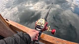 Daiwa Seaborg 600mj hi speed test.