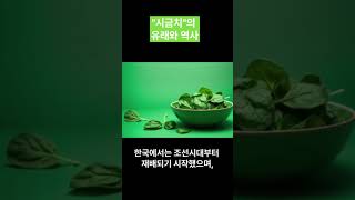 "시금치"의 유래와 역사