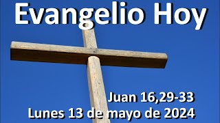 EVANGELIO DEL DIA - Lunes 13 de mayo de 2024 - Juan 16,29-33