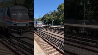 Amtrak Empire Service passing by riverdale with a giant horn show and P32 706