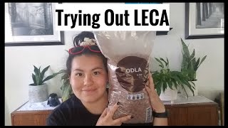 Trying Out LECA | Beginners Step by Step Guide to Passive Hydro