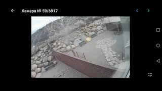 Тест программы "Live camera" (подключение к общедоступным камерам видеонаблюдения)