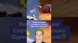 Вещи Которые Случаются Только Один Раз в Жизни!🤯 #shorts #птицы #рыба