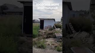 Азовское море, участки в низинах. #Голубицкая. Зеленая улица.