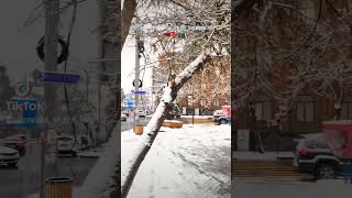 ❄️ Snowfall ⛄ in ❄️ Yerevan❄️🇦🇲❤️🇧🇩 #yerevan #erevan #armenia #city #yerevancity #travel #road #bd