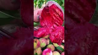 UNBELIEVABLE! Farm Fresh Ninja Fruit vs  Razor Sharp Blades in Optical Slow Motion 👀🍓🍒🍏 Fresh Fr