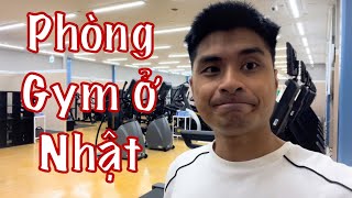 Phòng Tập GYM ở Nhật Giá 1 Tháng Bao Nhiêu ??