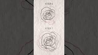 How to draw a rose in 10 steps! 🌹 #howtodraweasy #howtodraw #learntodraw #arttutorial #drawingtips